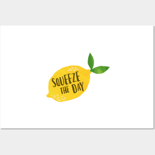 Squeeze the Day Posters and Art